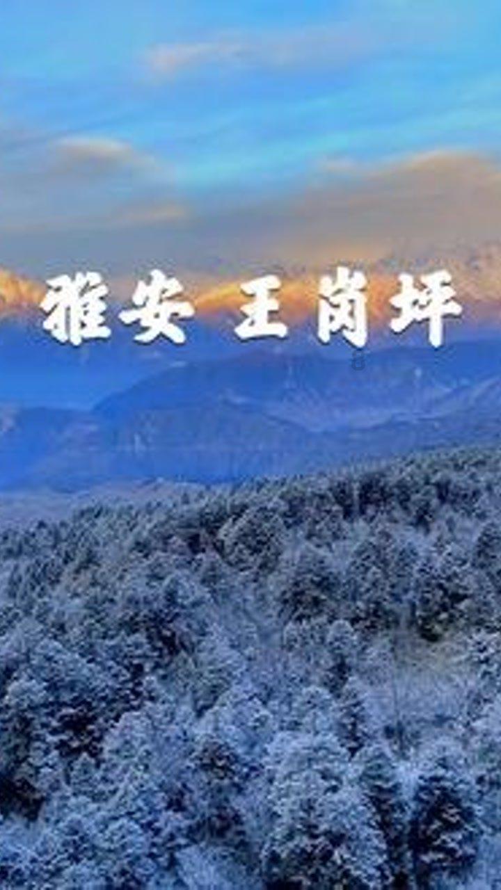 疾控中心实验室污水处理设备-中科瑞沃