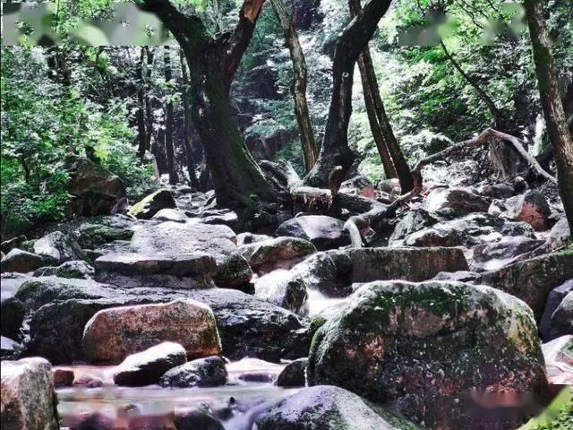 超三国无双4