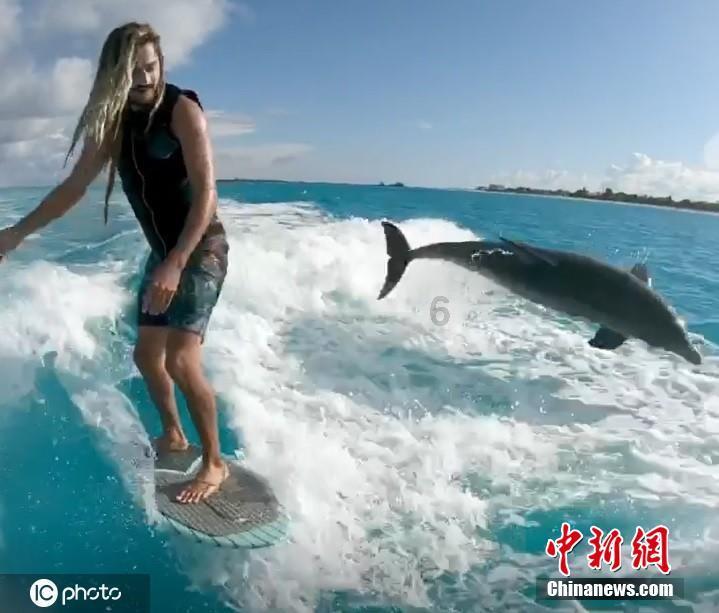 逃离马儿森林